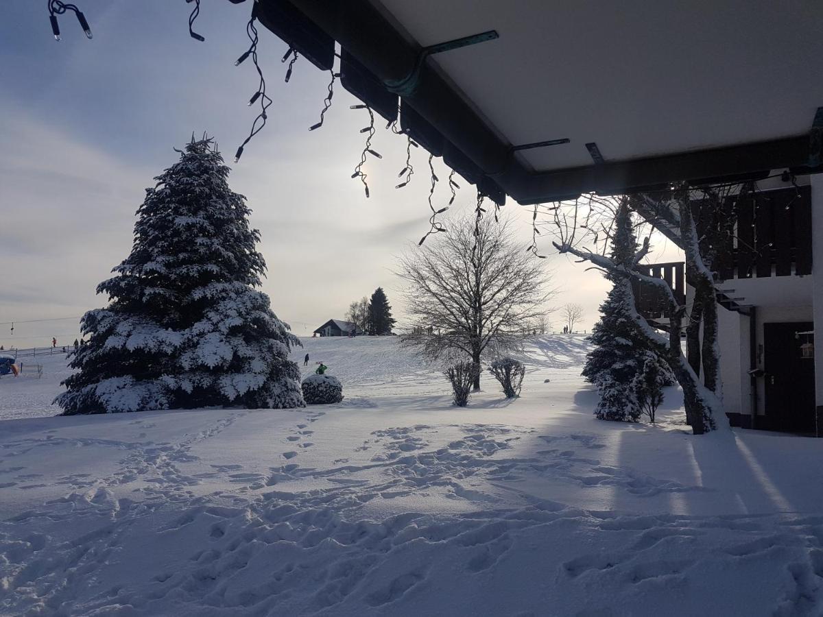 Appartement Neuastenberg Winterberg Zewnętrze zdjęcie