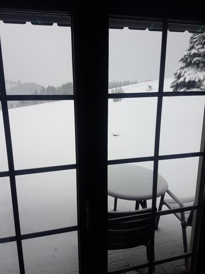 Appartement Neuastenberg Winterberg Zewnętrze zdjęcie